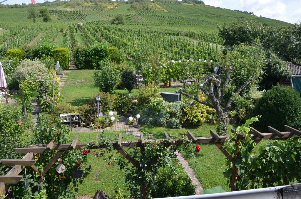Ferienhaus Stuelb Zeltingen-Rachtig Ngoại thất bức ảnh
